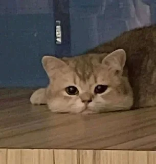 😬