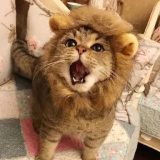 🦁