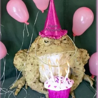 🎊