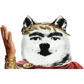 🐶