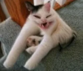 😆