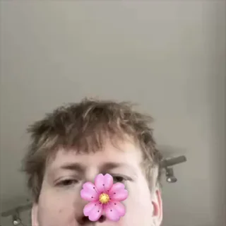 🌸