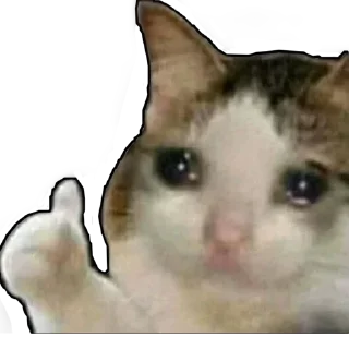 👍