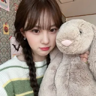 🐰