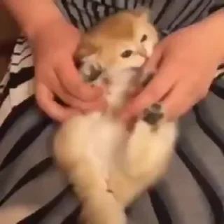 😂