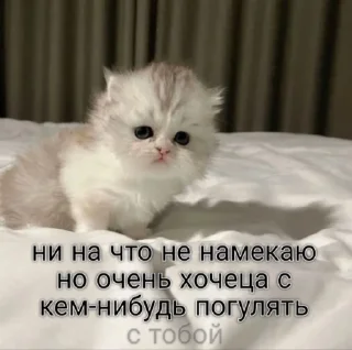 😊