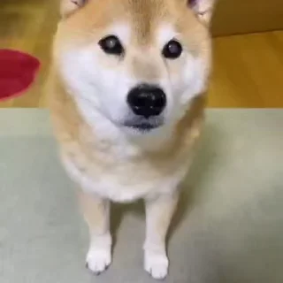 😕