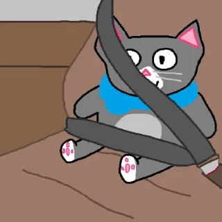 🐱