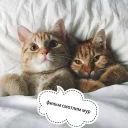 😊