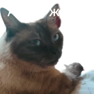 🙃
