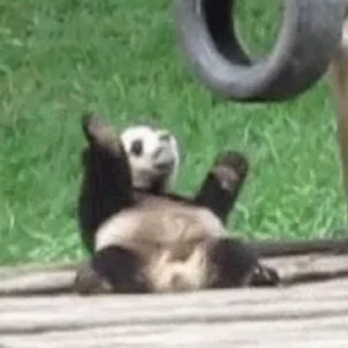 🤩