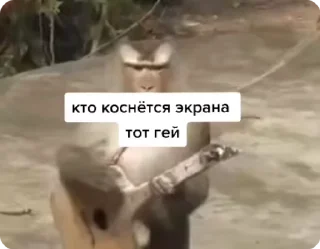 🌟