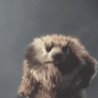 🦫
