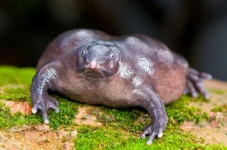 😨