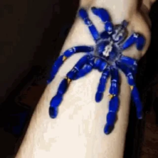 🕷
