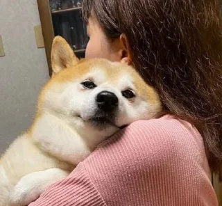 🤗