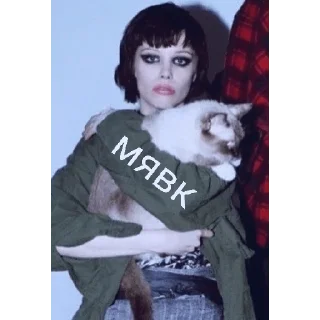 😽