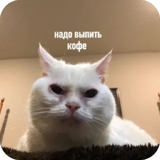 🫥