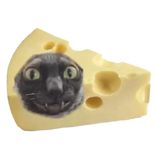 🧀