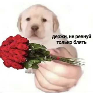 💋
