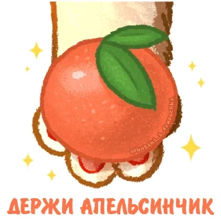 🍊