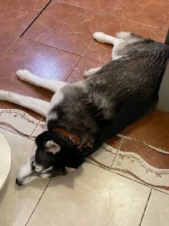😒