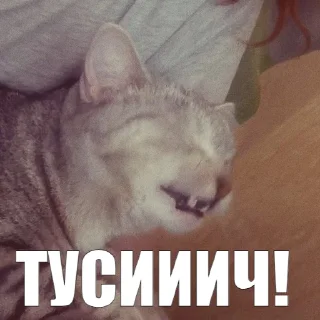 🎉