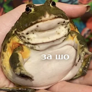 ☹️