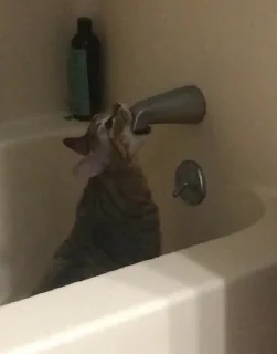 🚰