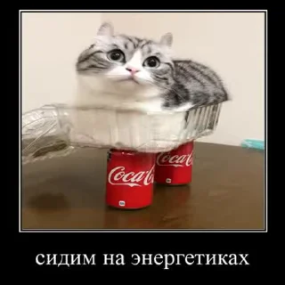 😏