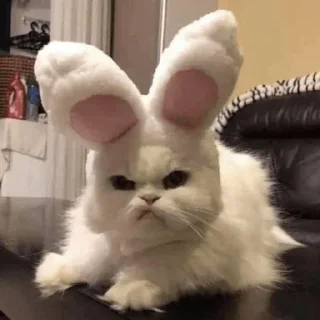 😠