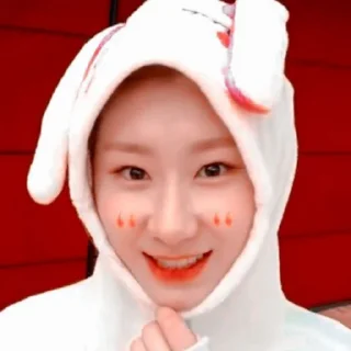 🐰
