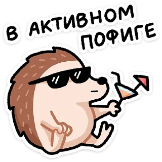 😎