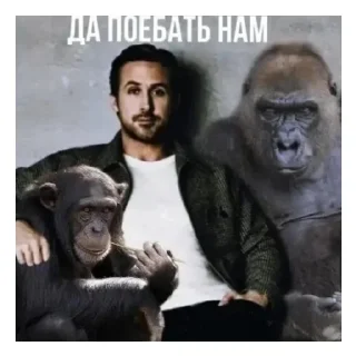 😑