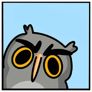 🦉