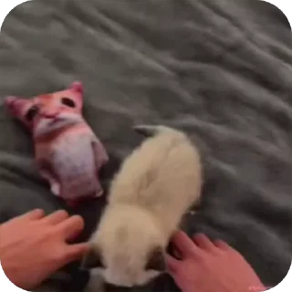 🕺