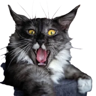 😠