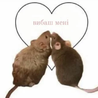 ❤️