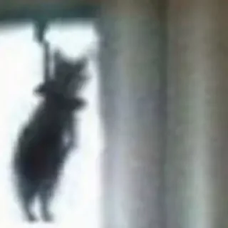 ☠