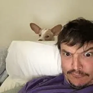 😱