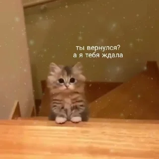 🤗