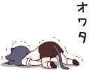 😲