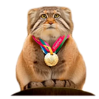 🥇