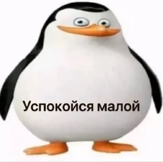 😂