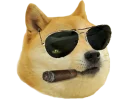 😎