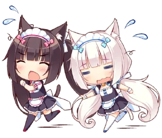 🙀