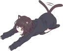 😸