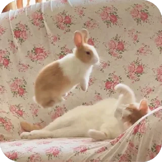 🥰