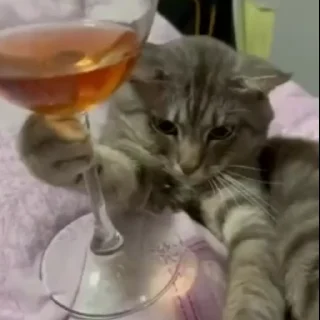 🍷