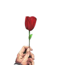 🌹